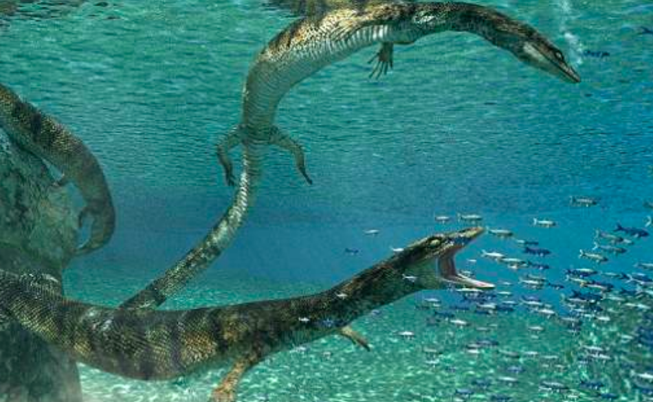 New species of ancient marine lizard found in Italy