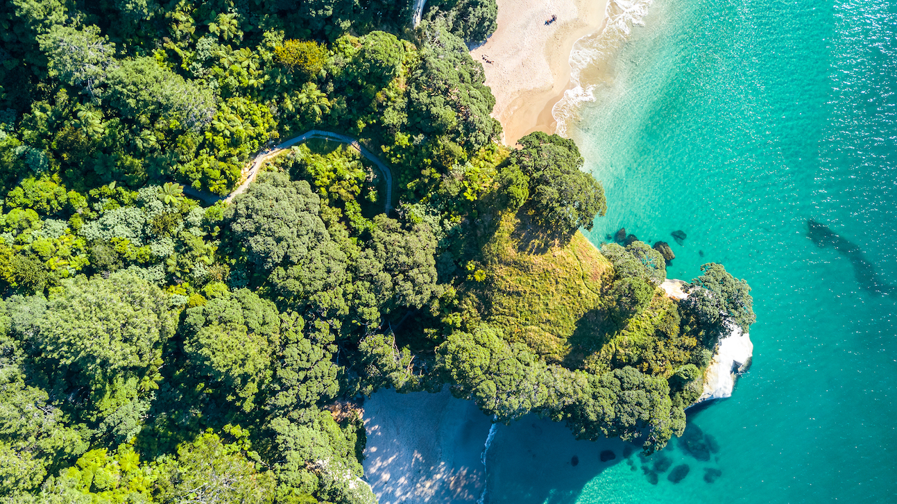 Biosecurity effectively prevents pathogens from crossing borders