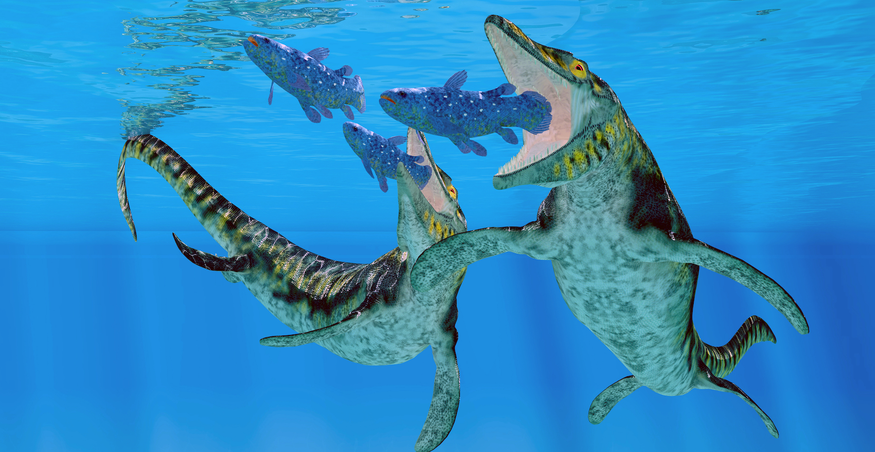 Lost extinctions: When animals die off before science finds them