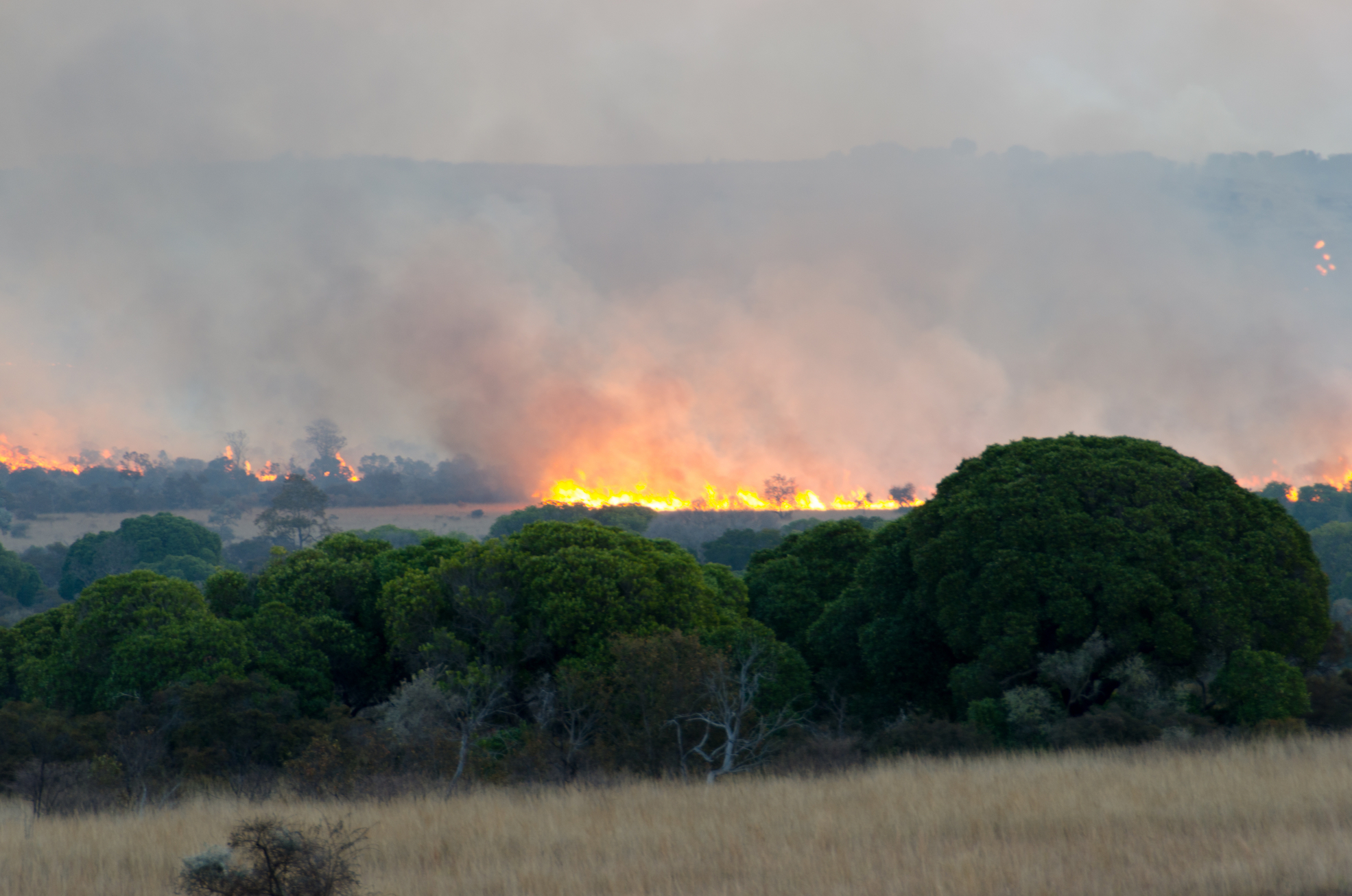 Exploitation and deforestation as Madagascar continues to burn
