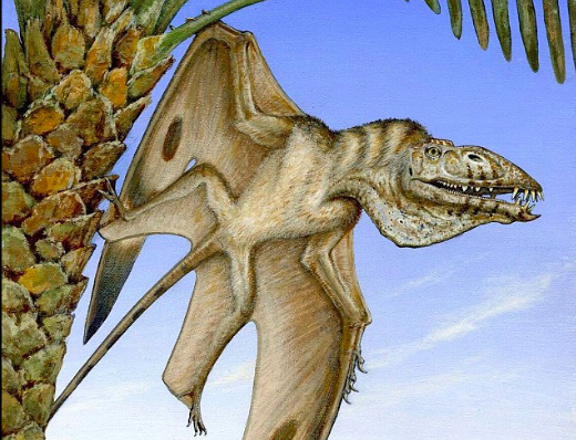 New pterodactyl species identified from Triassic Period