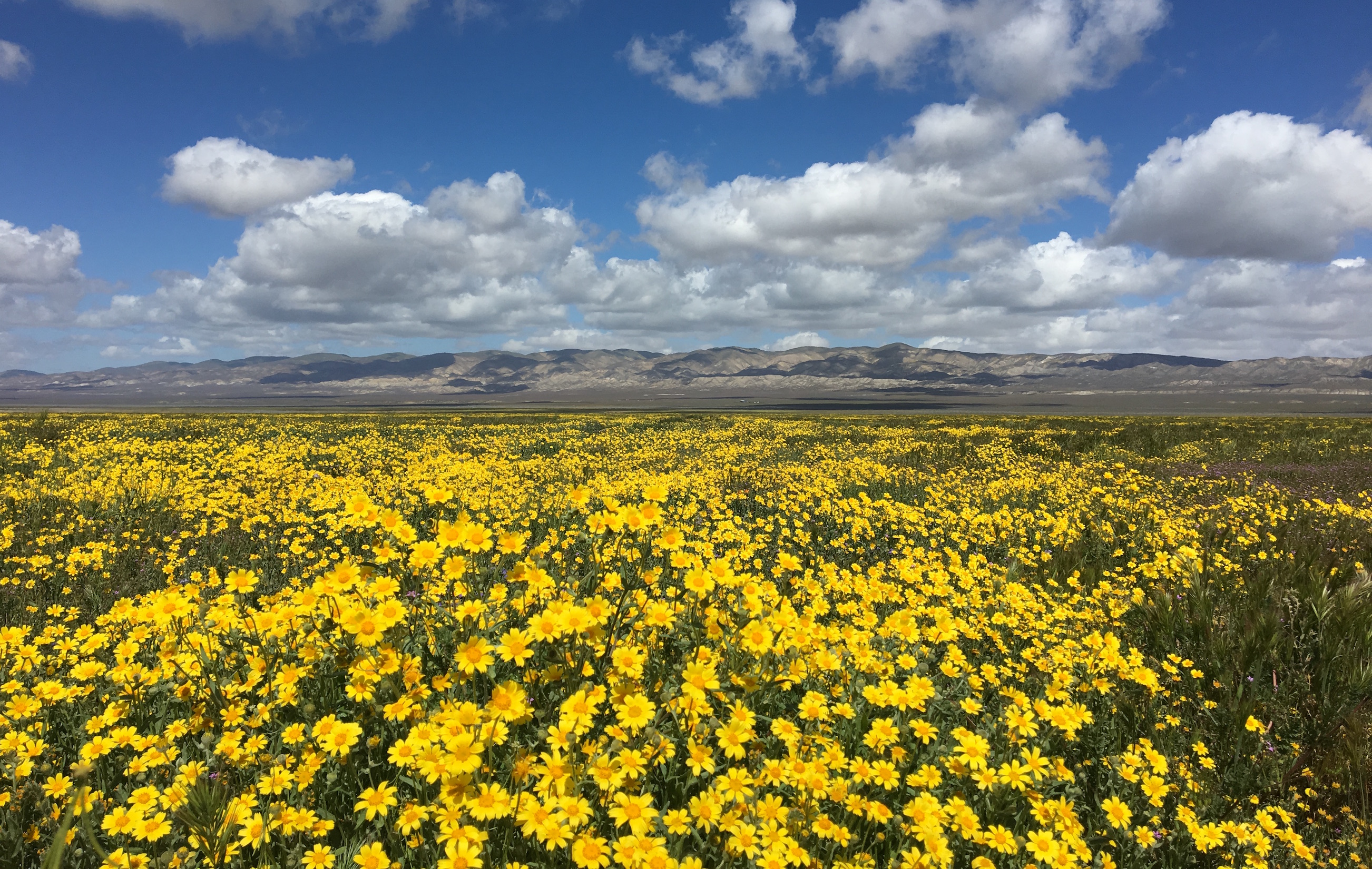 The winners and losers of the historic California drought