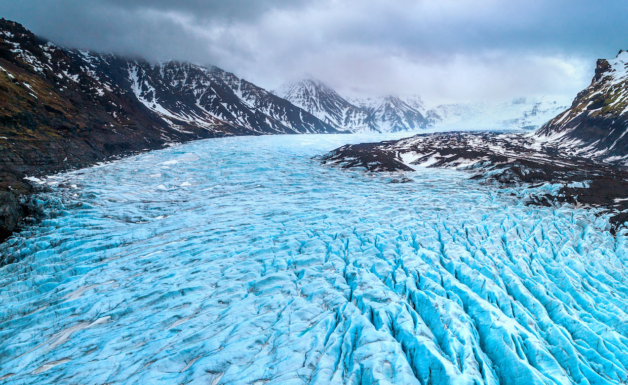 What exactly is living in those icy cold glaciers?