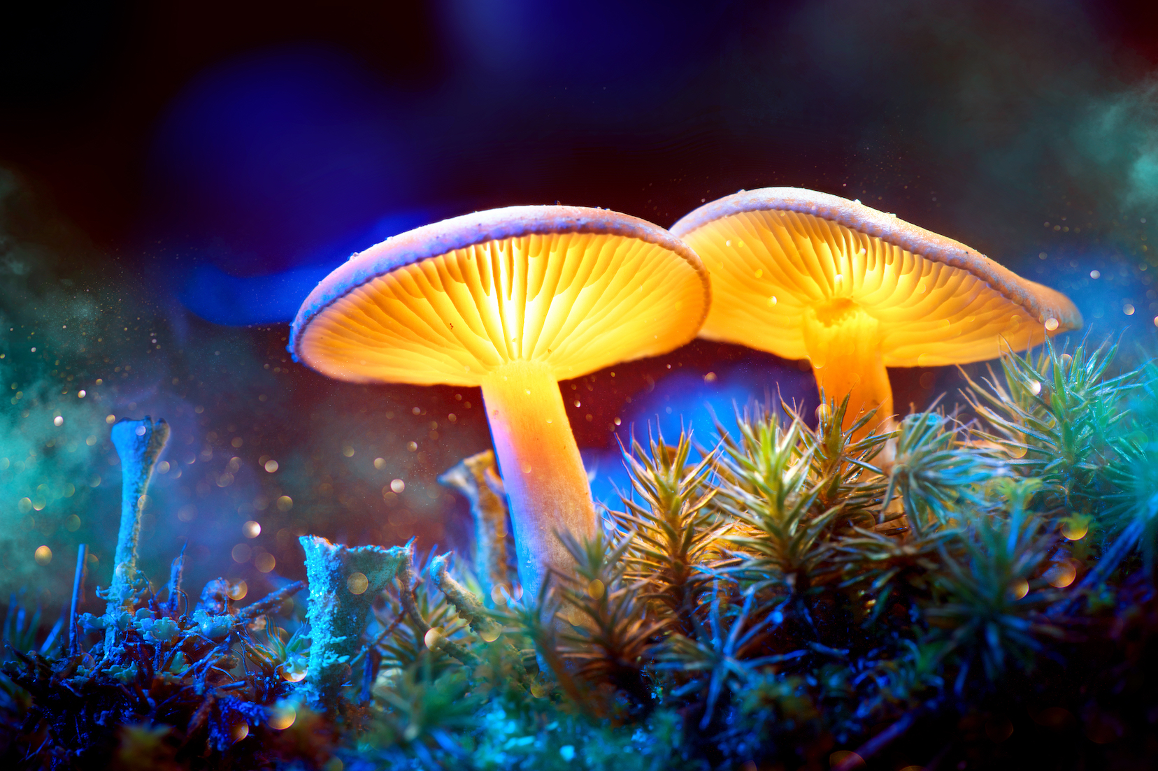 Magic mushroom ingredient approved by FDA for depression trial