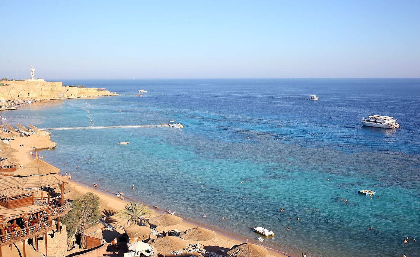 Microplastics found inside 1 in 6 fish in the Red Sea