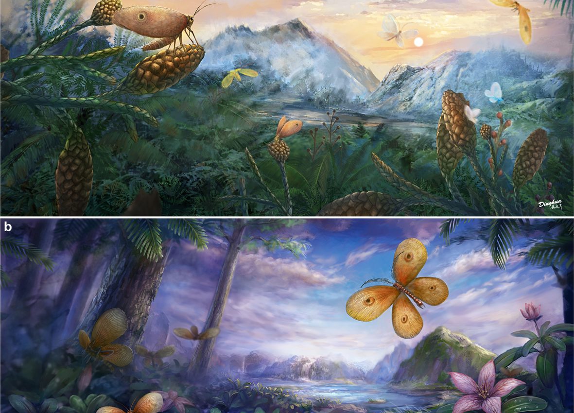 Pollination insects played a crucial role in plant evolution