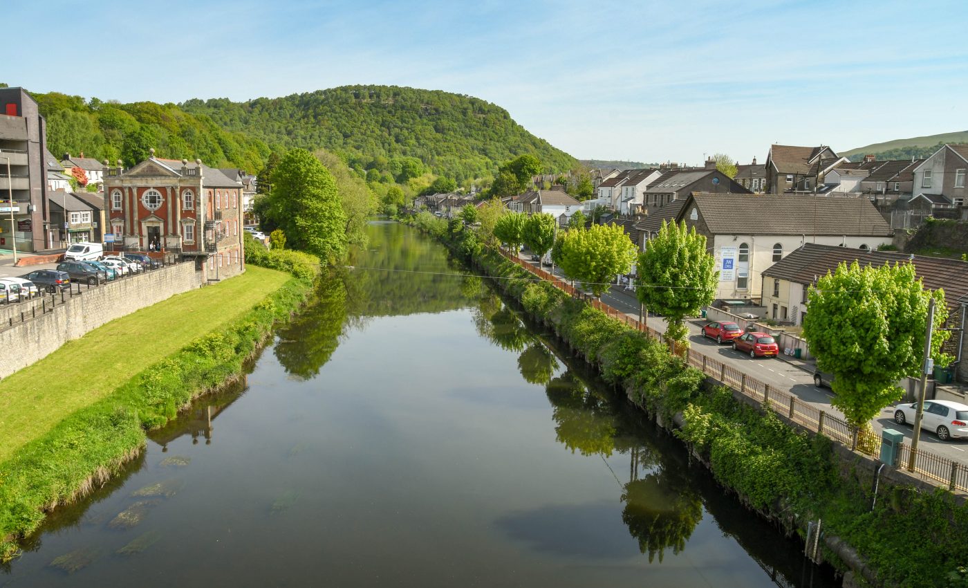 1 in 2 freshwater insects found to have eaten microplastics