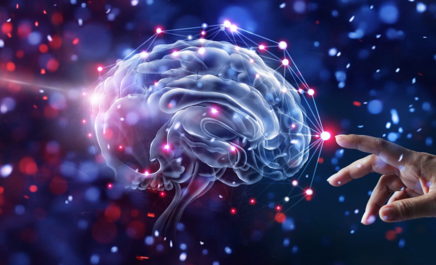 Brain damage from a fatty diet reversed using hormone from plants