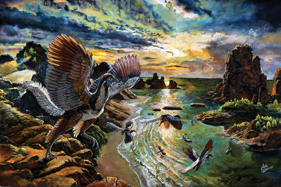 New species marked the transition between dinosaurs and birds