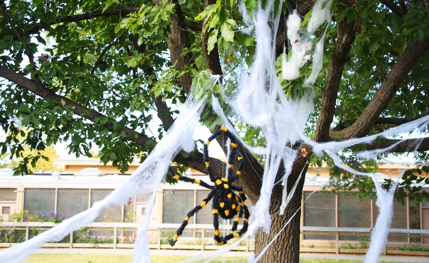 Fake cobwebs can cause more than just a spook to wildlife