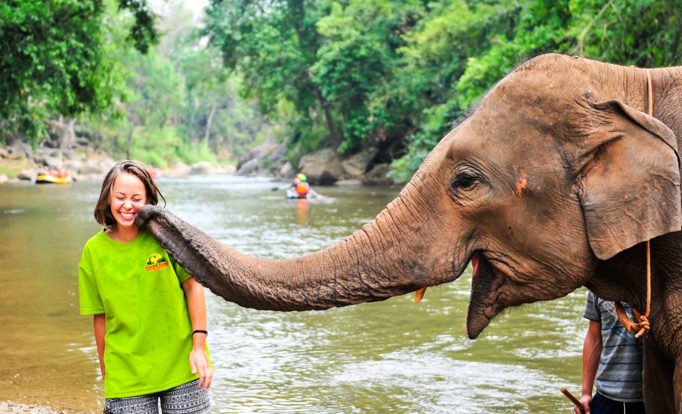 Young people are increasingly rejecting inhumane animal activities