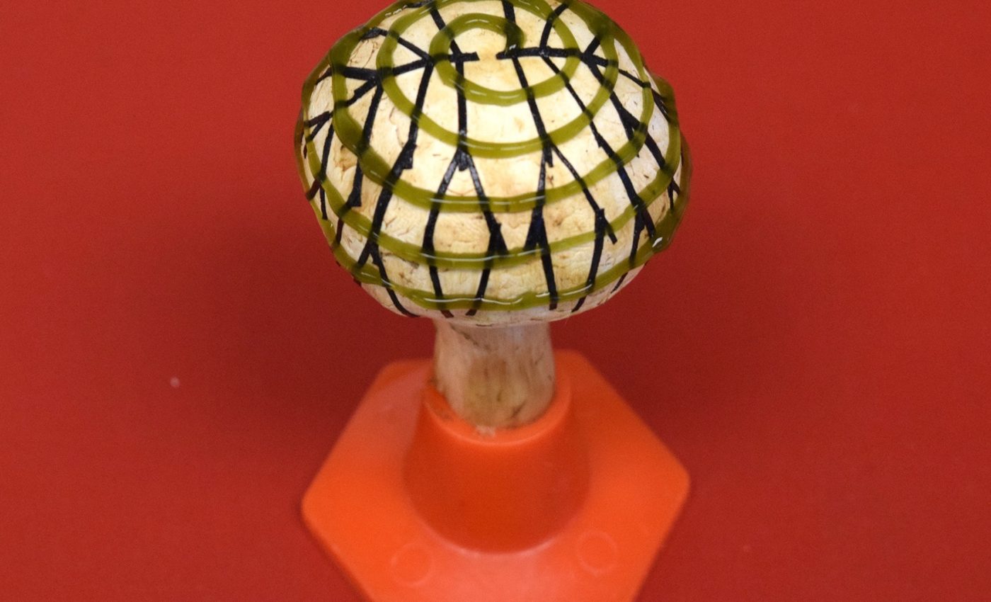Scientists engineer bionic mushrooms that can produce electricity