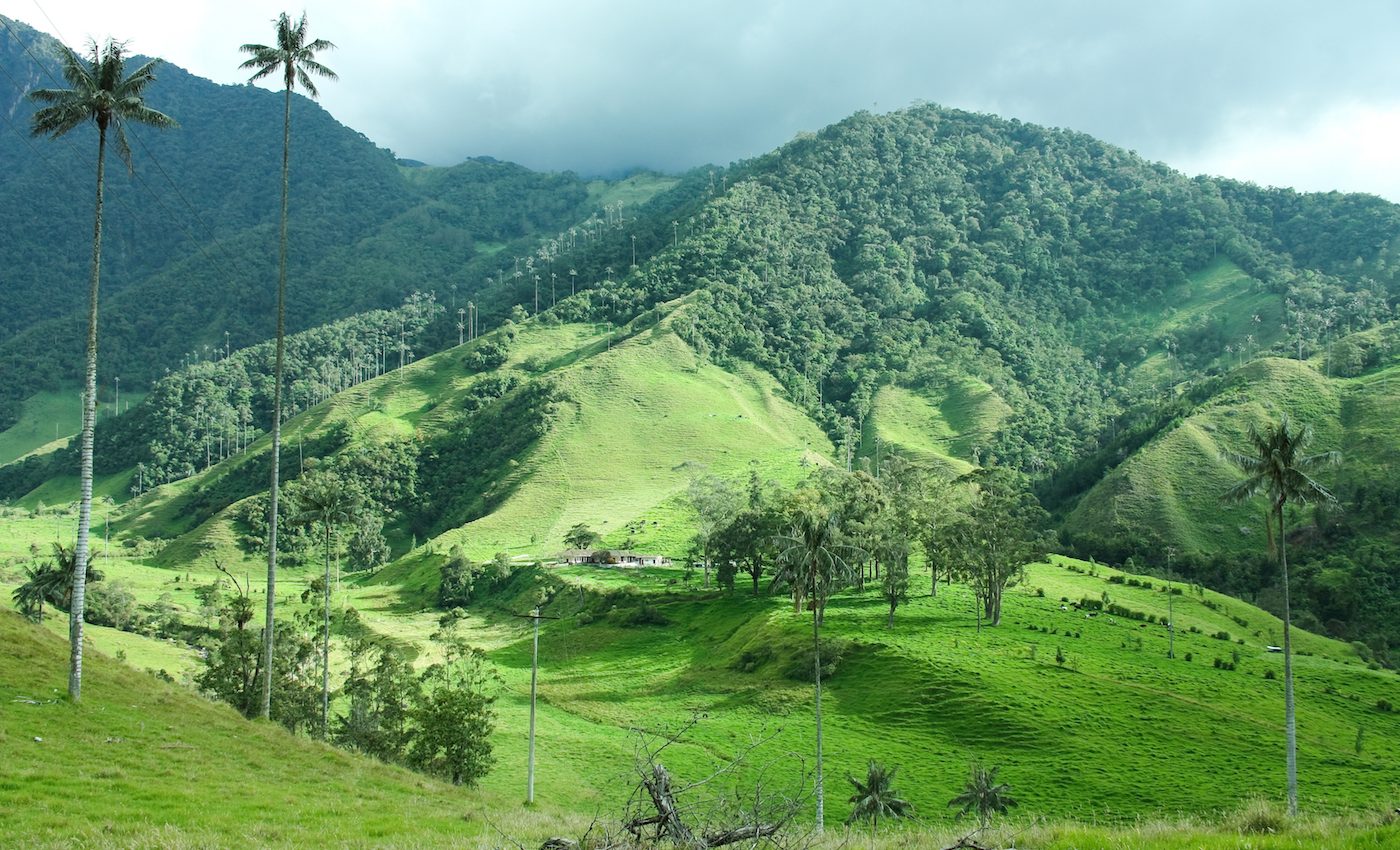 Tropical trees are moving to higher elevations to escape the heat