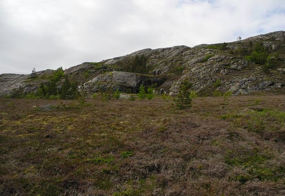 The Arctic is turning brown due to extreme weather and melting