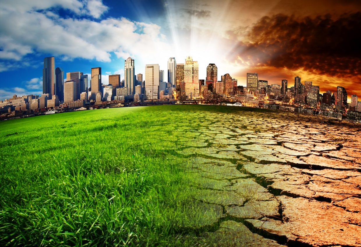 Climate change could trigger a cascade of extinctions domino effect