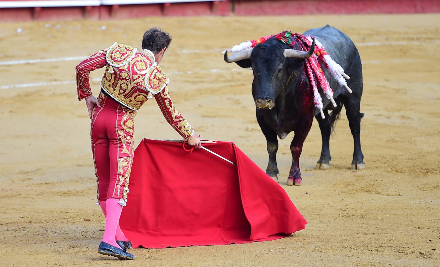 Bullfighting continues in Spain despite growing opposition
