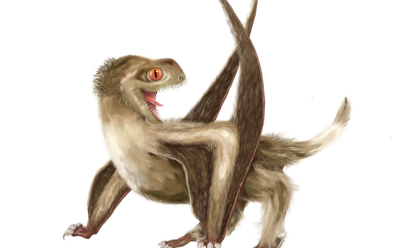 Feathers emerged 70 million years earlier than previously thought