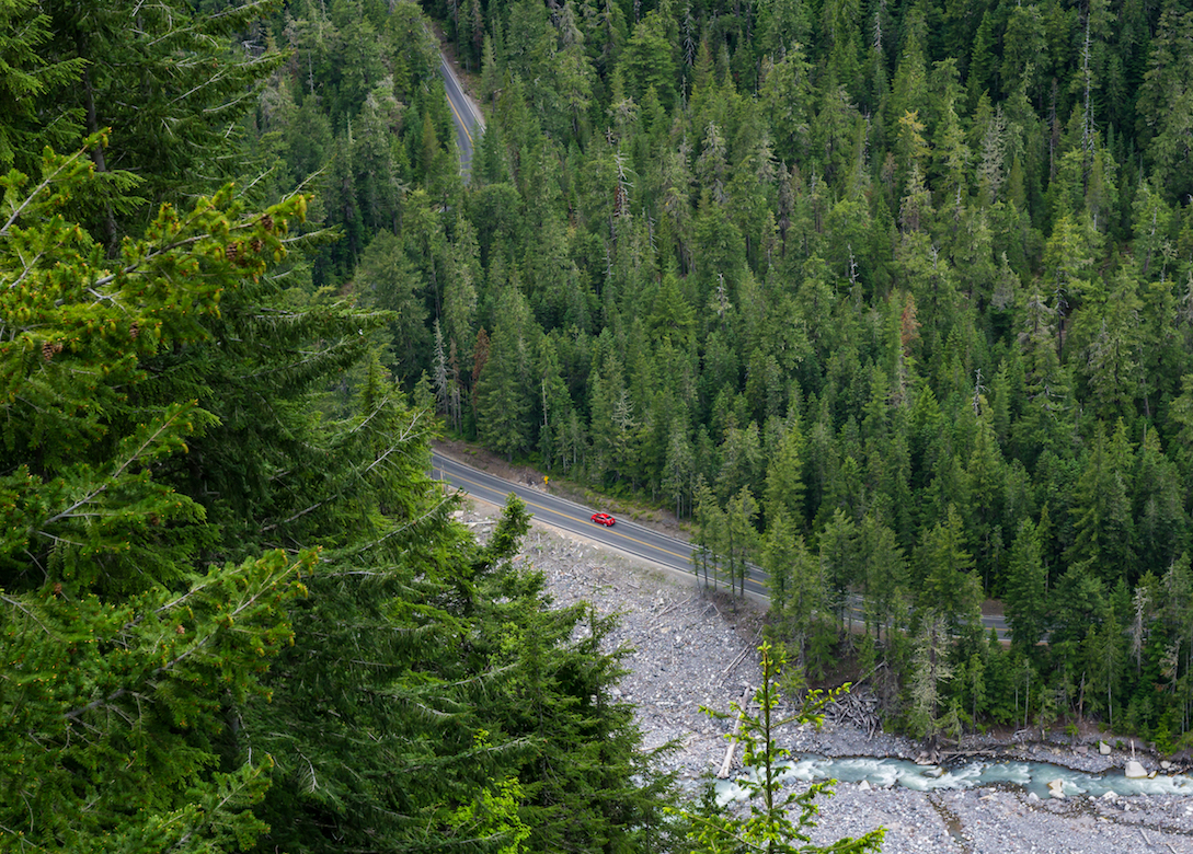 Fire suppression tactics have resulted in drought-sensitive forests