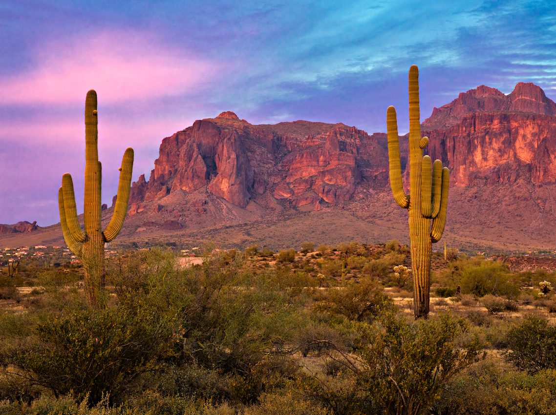 The decline of the saguaro?