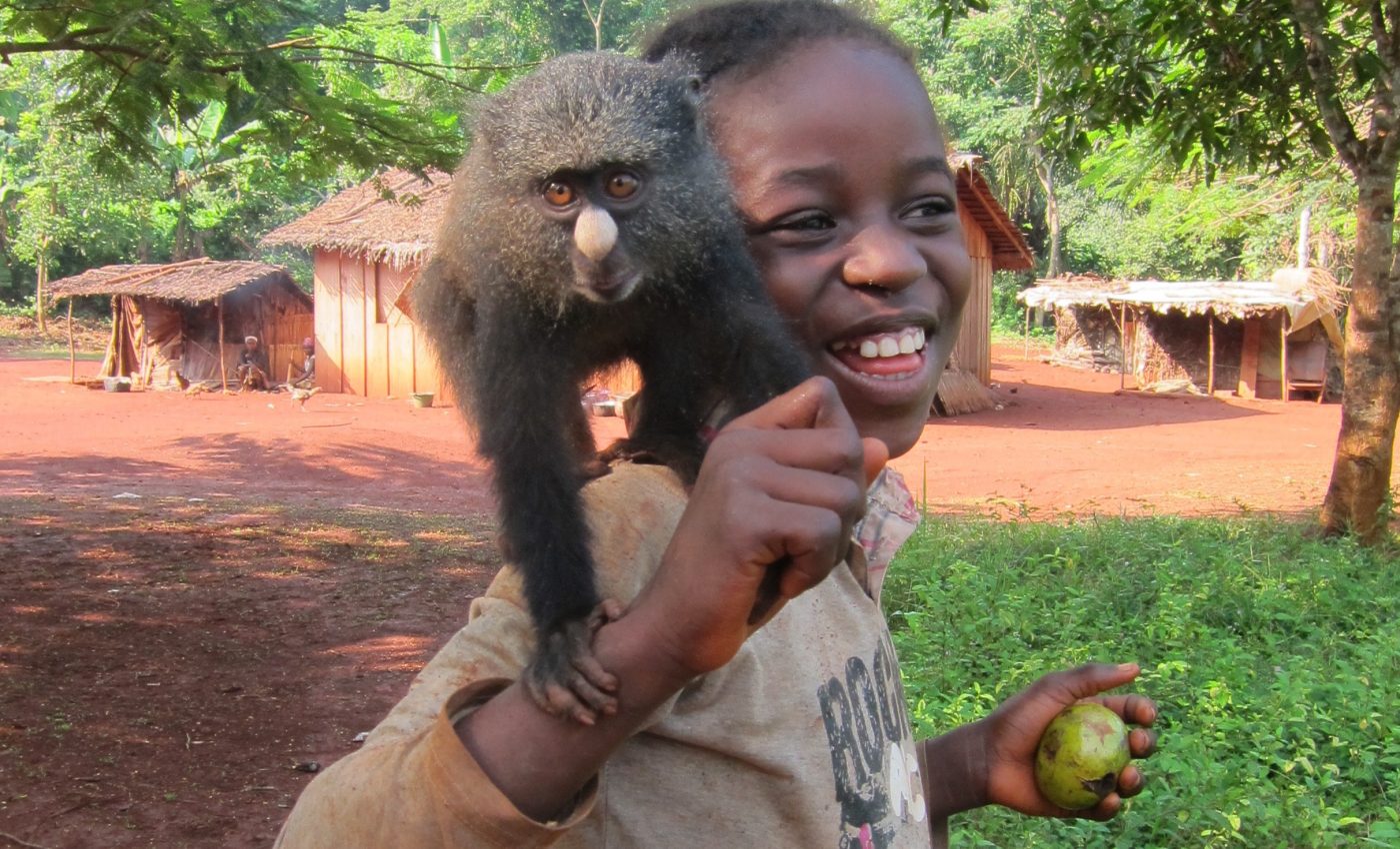 Human contact with primates is promoting the spread of disease