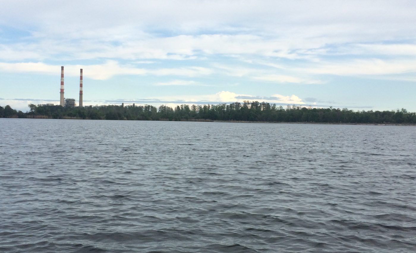 Coal ash contamination in water can be tracked using fish bones