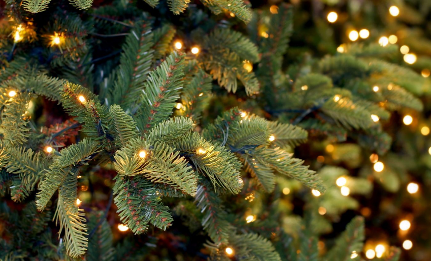 Christmas tree pine needles can be turned into sweeteners and paint