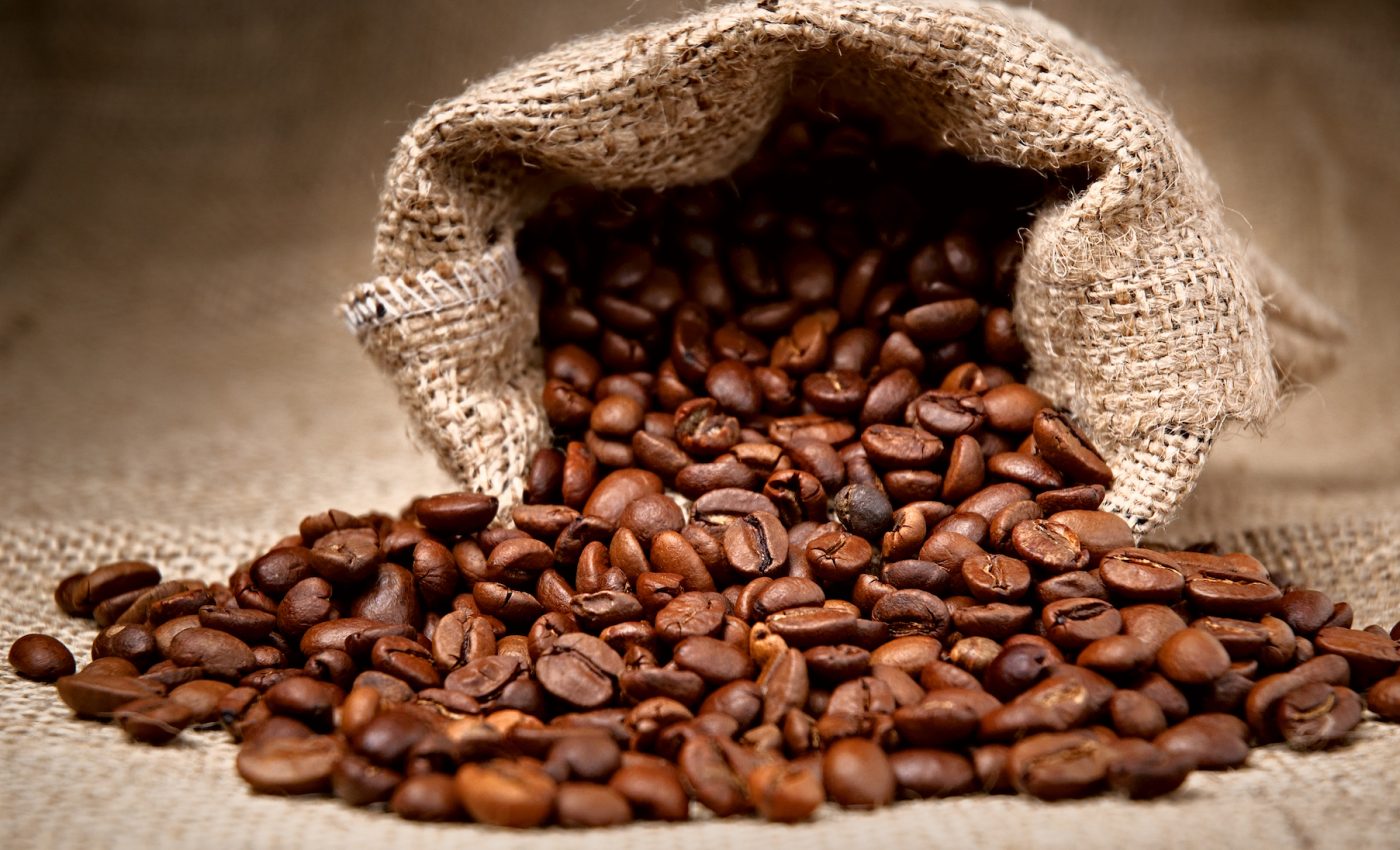 Many wild coffee species could disappear by the end of this century