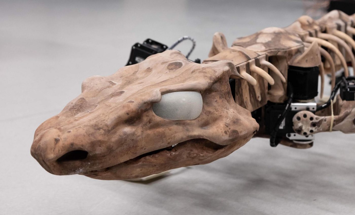 Scientists reconstruct 290 million-year-old lizard as a robot