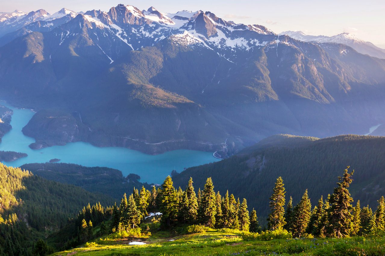 Pacific Northwest forests show wildfire loss, declining bird numbers
