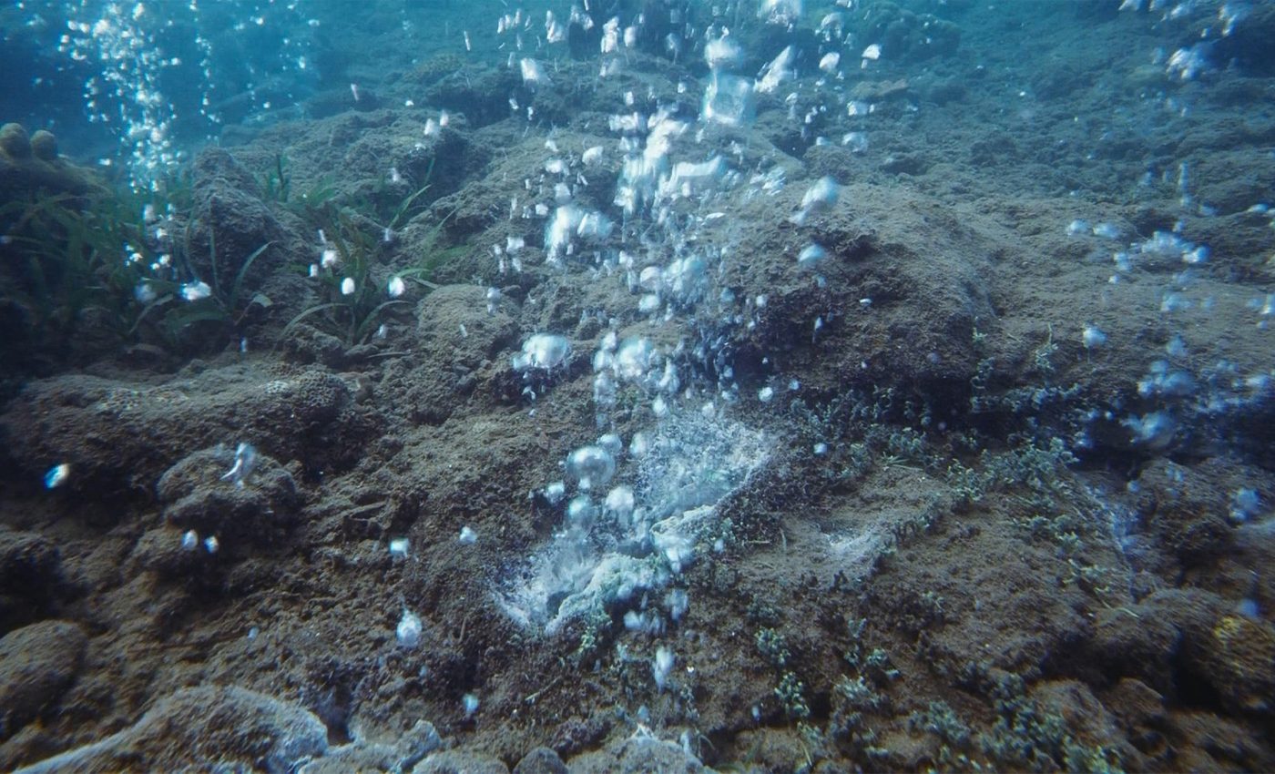 Where did the earliest common ancestor of all life actually exist?