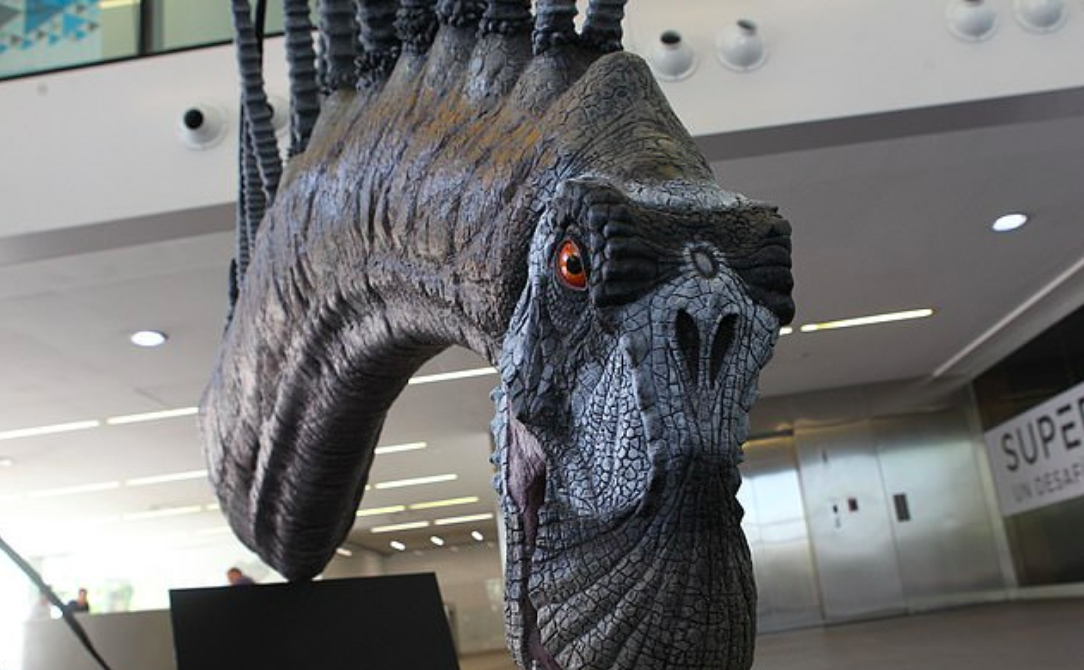 New dinosaur species had huge spikes to appear sexy and intimidating