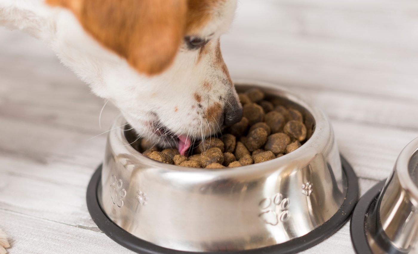 What’s in your dog's food?