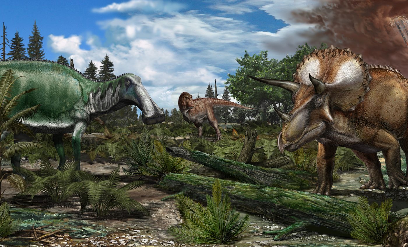 Dinosaurs were flourishing just before they were killed off