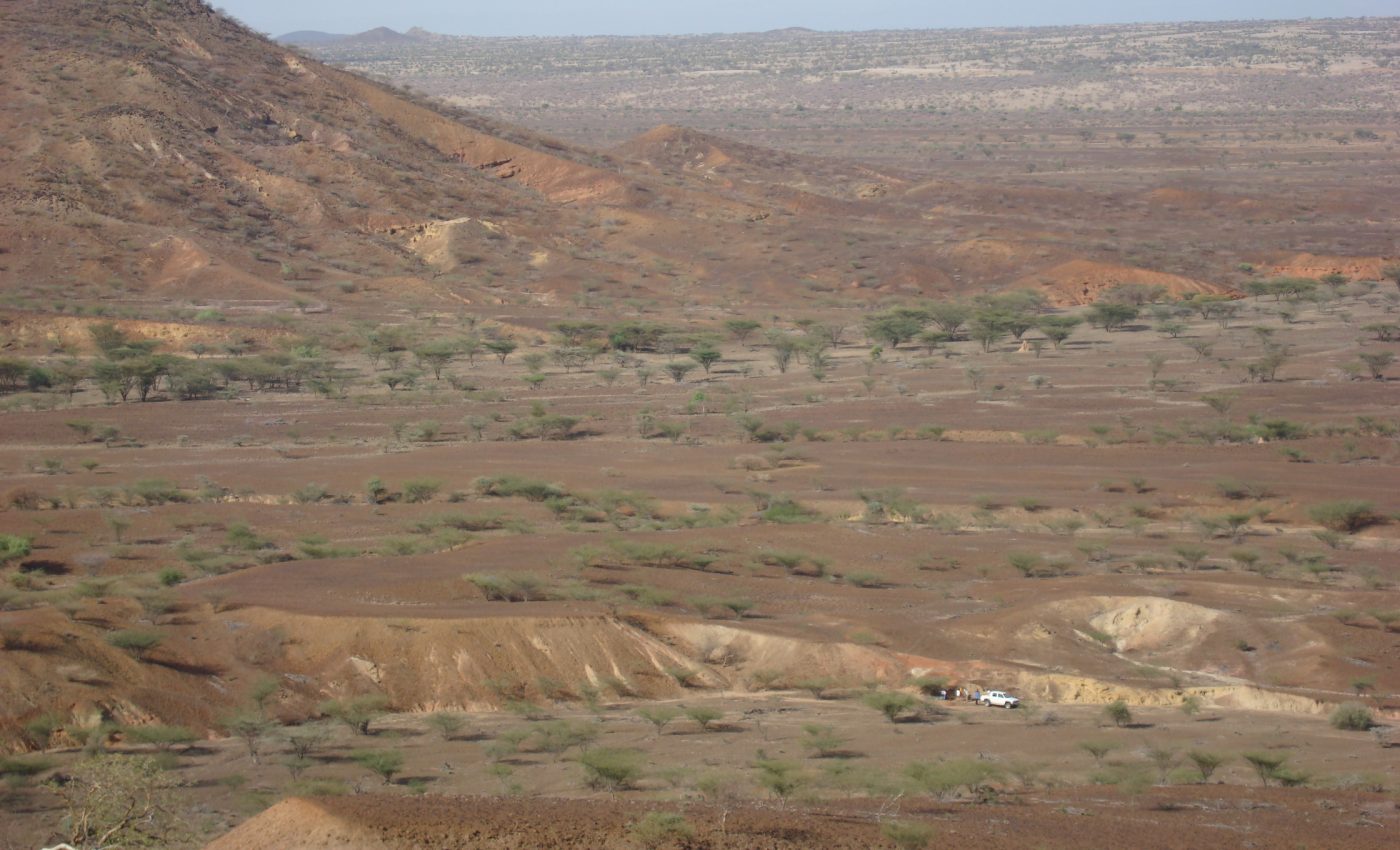 Fossilized monkey teeth help fill six million year gap in evolution