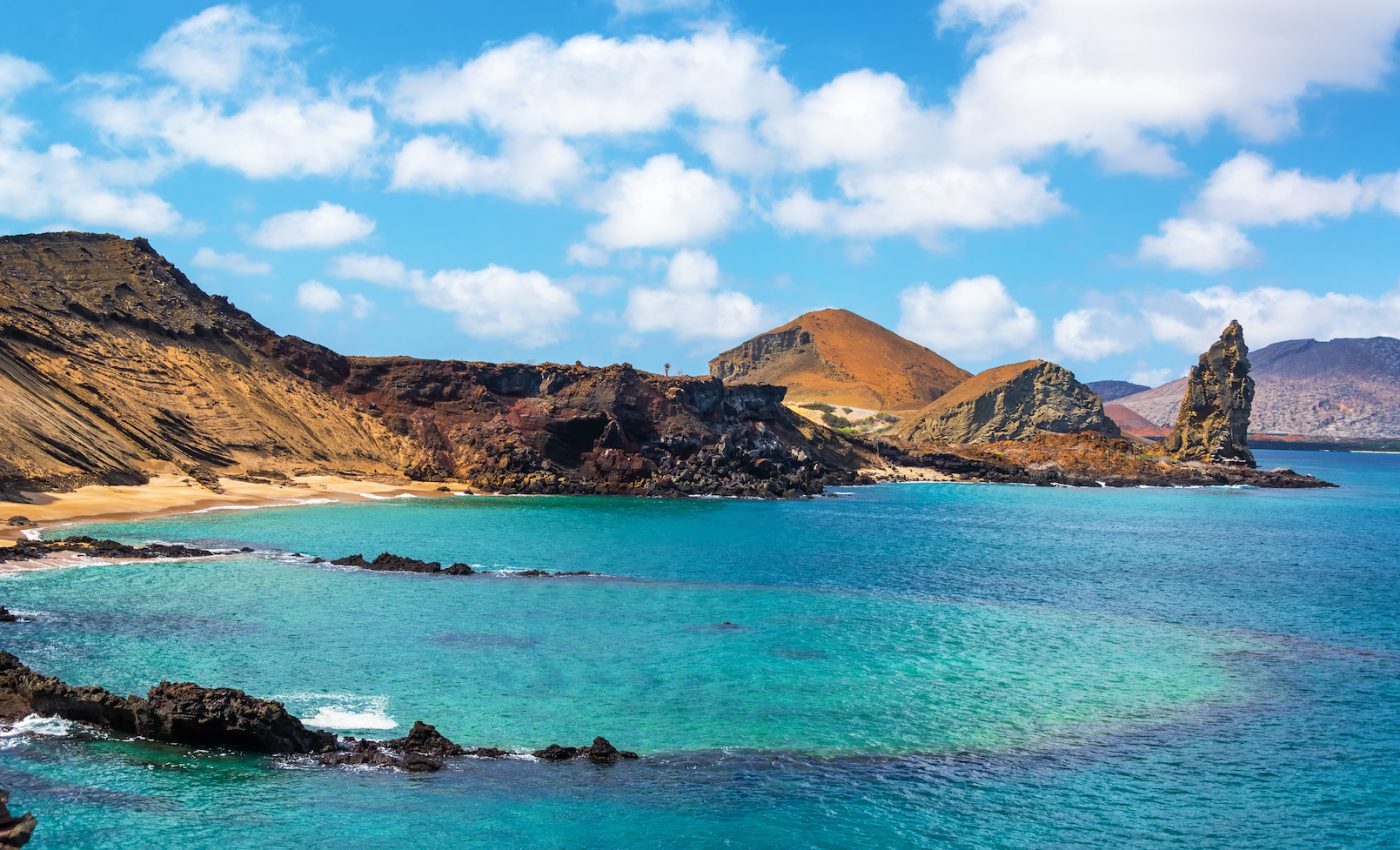 Galápagos Islands have far more invasive species than previously thought