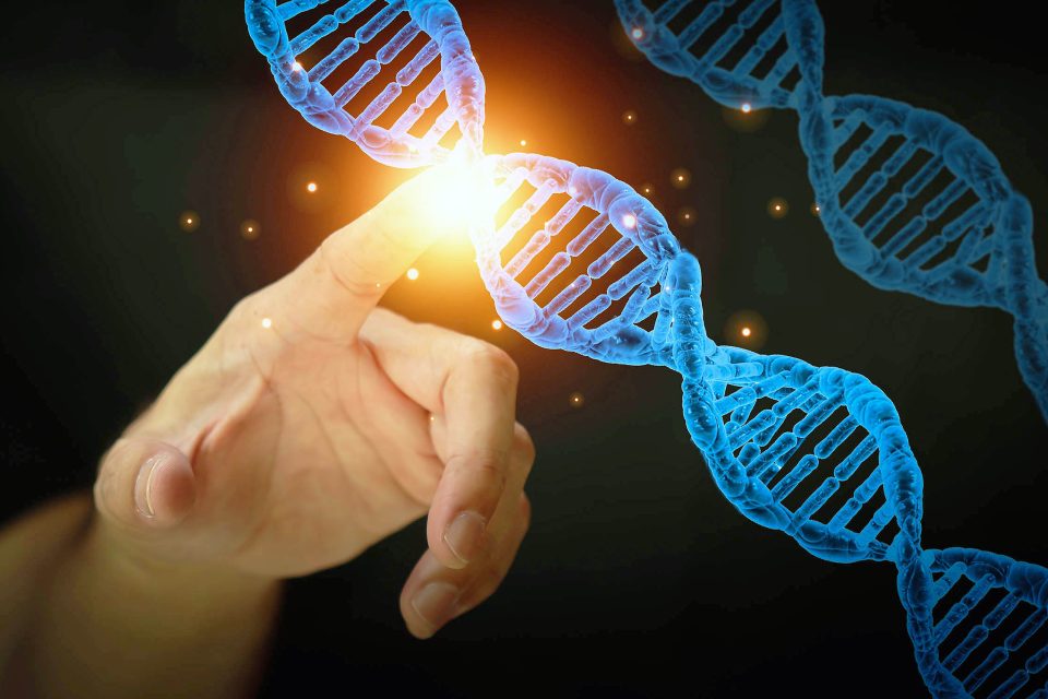 What is Epigenetics?