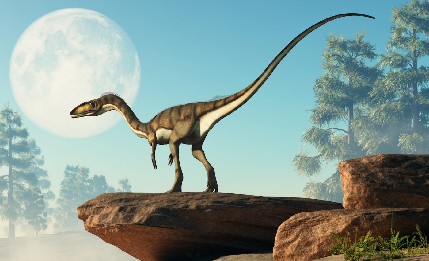 Perfectly preserved tracks contain traces of dinosaur skin