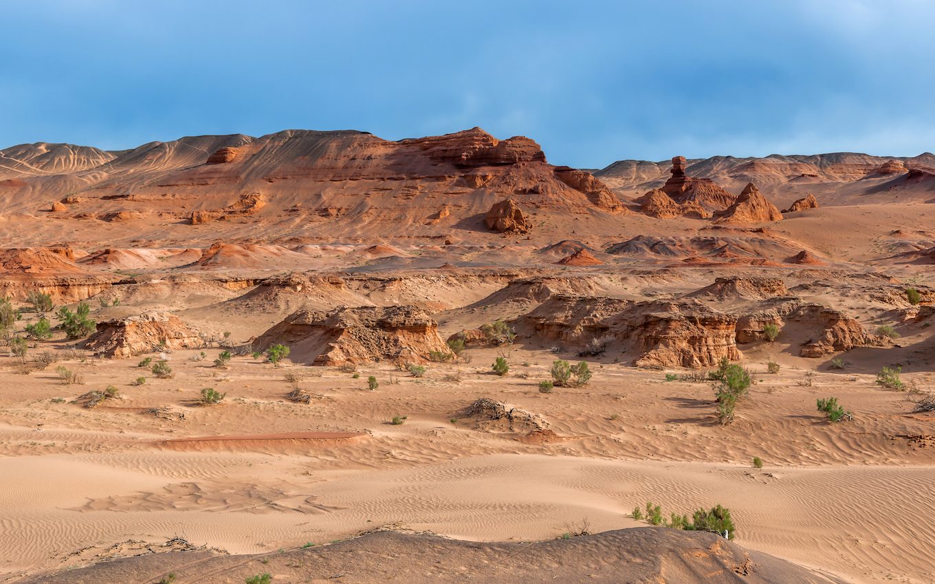 New species of Mongolian dinosaur found in the Gobi Desert