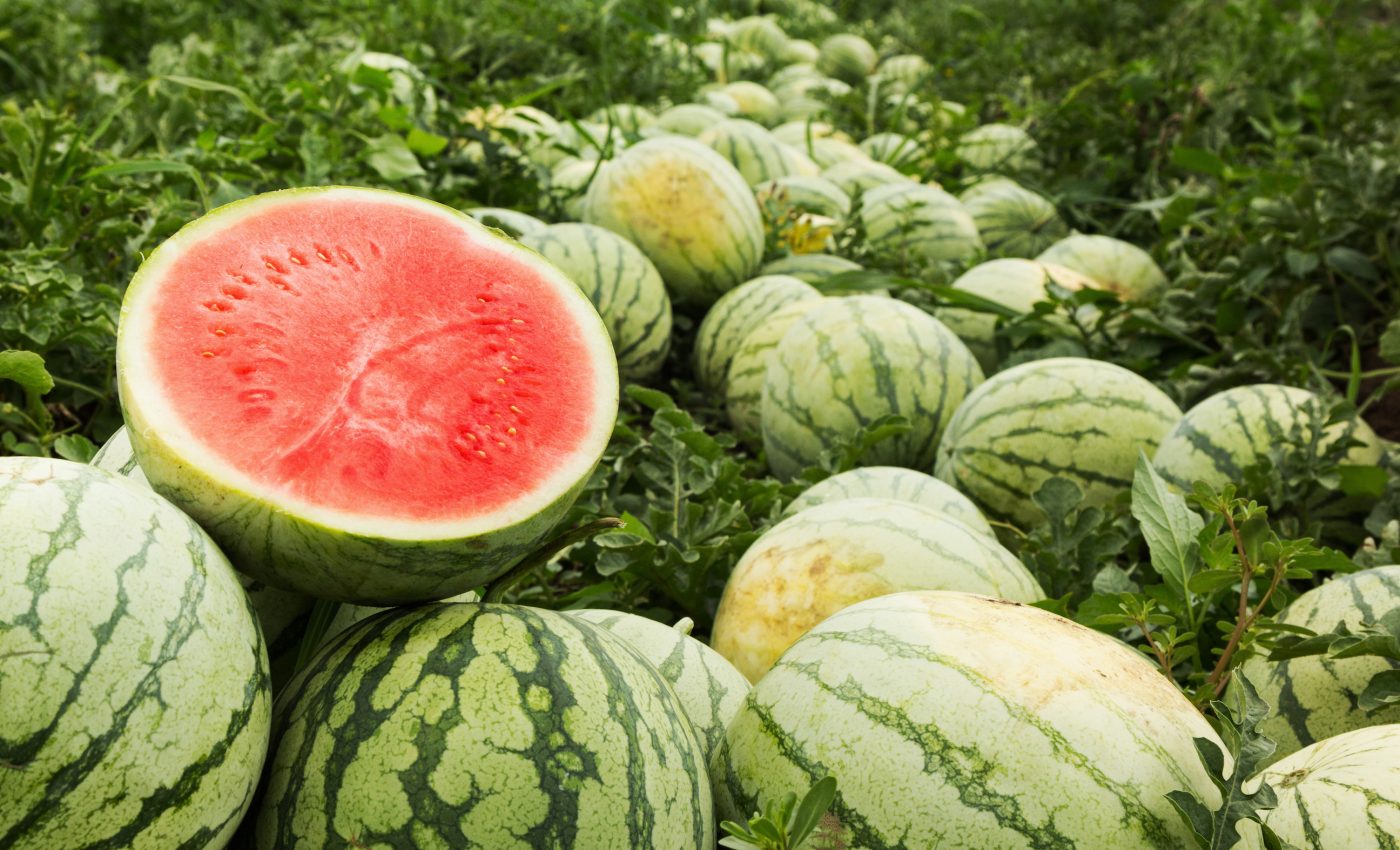 Nigerian music drums can train your ears to pick out a ripe watermelon