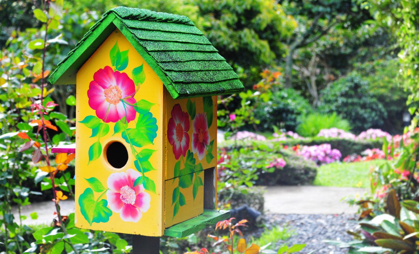 How to turn your backyard into a healthy habitat for animals