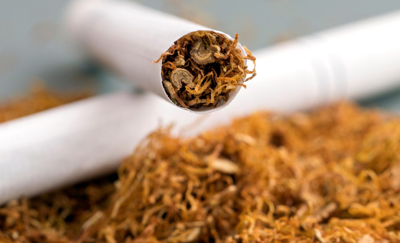 Scientists engineer low-nicotine tobacco to help combat nicotine addiction