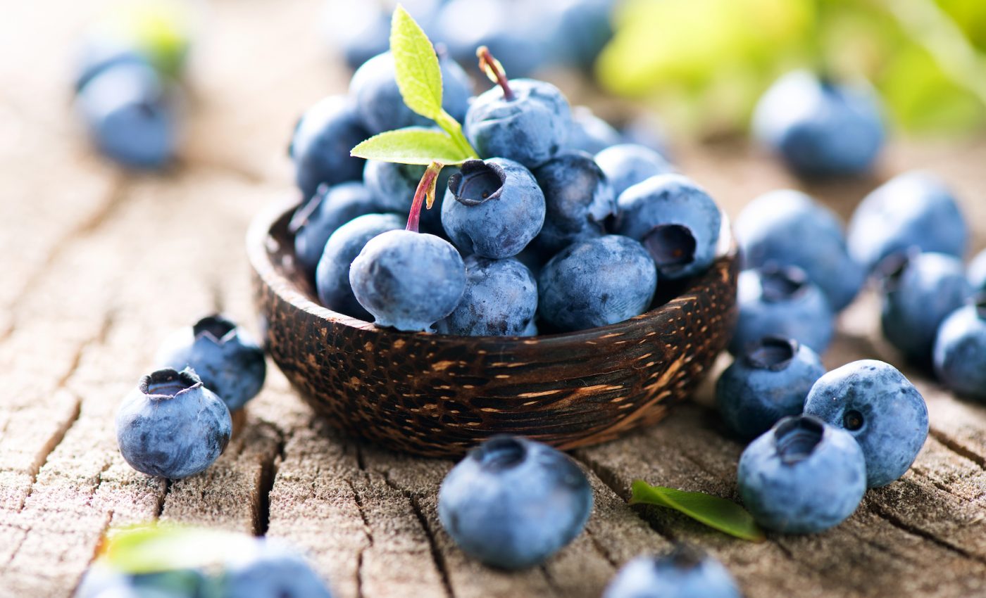 Blueberries offer a wide variety of remarkable health benefits