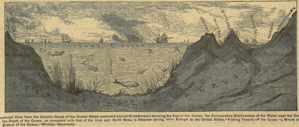 What Does the Bottom of the Ocean Look Like?