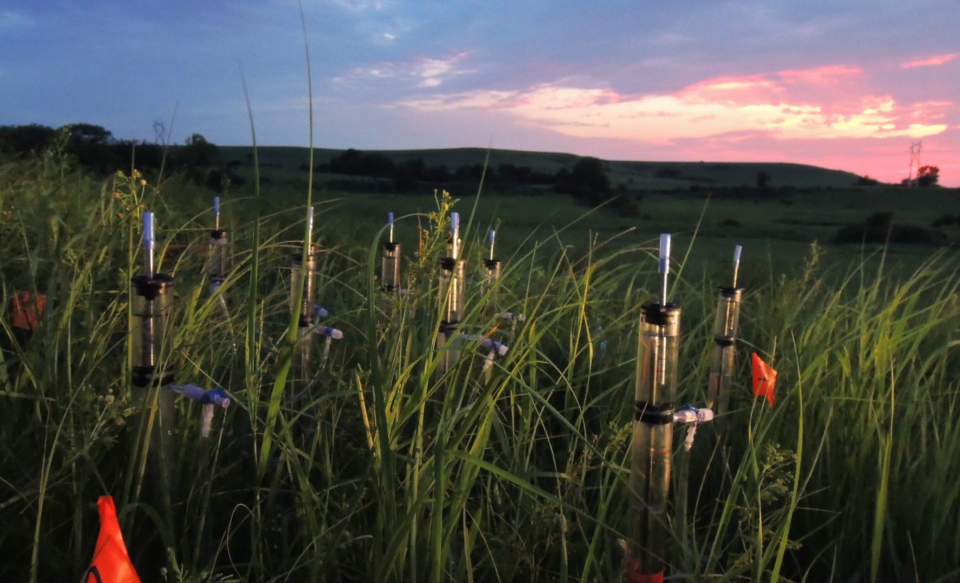 How climate change could negatively impact soil and threaten crops