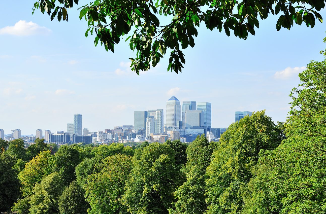 Adding trees can help keep cities cool during heatwaves