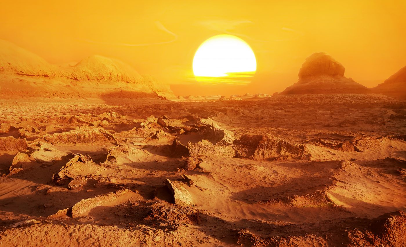 New crustacean identified in the world's hottest desert