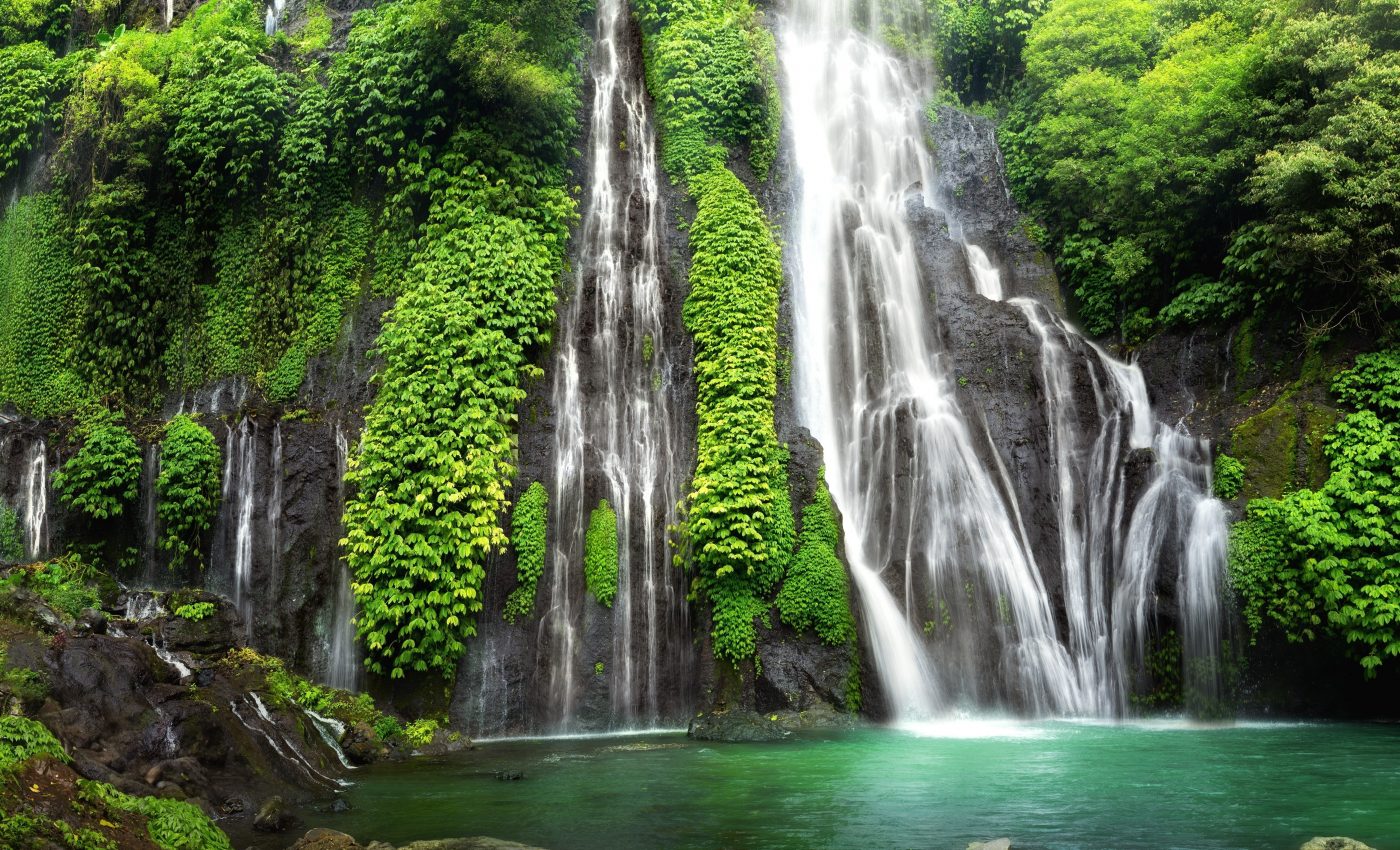 Mediterranean and tropical species may vanish at alarming rates