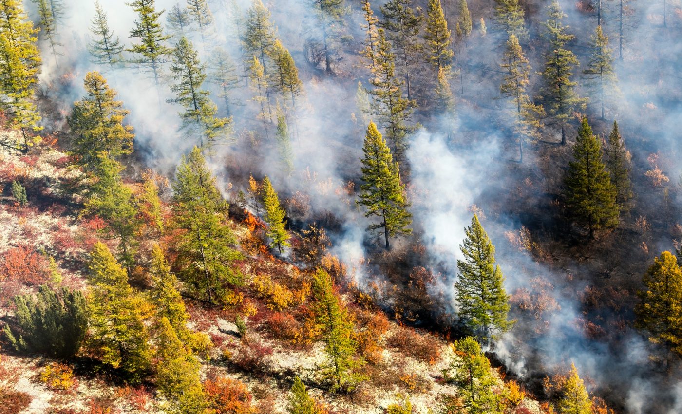 Arctic fires are changing, and the climate impacts could be devastating