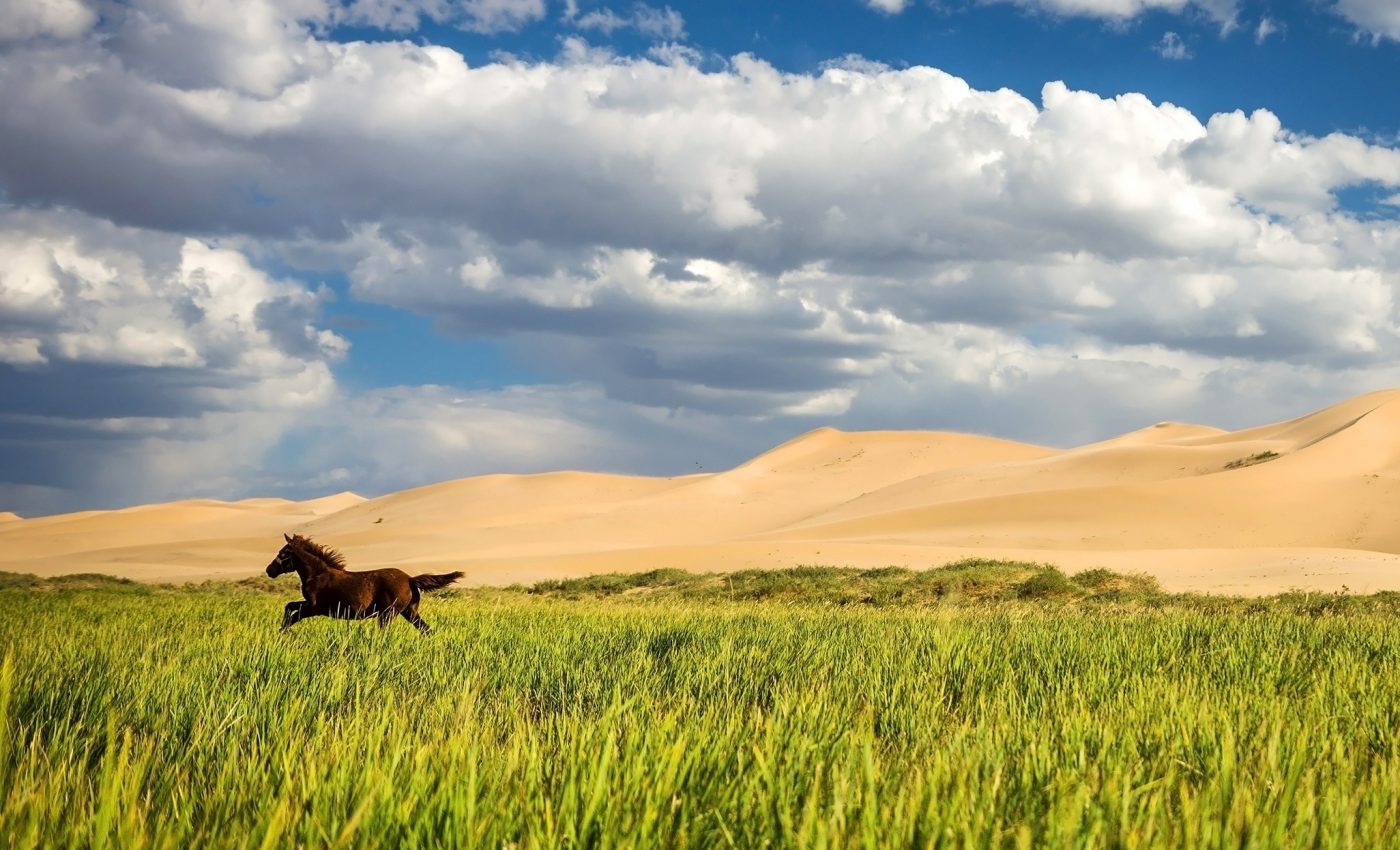 East Asia may be permanently locked into hotter and drier climate