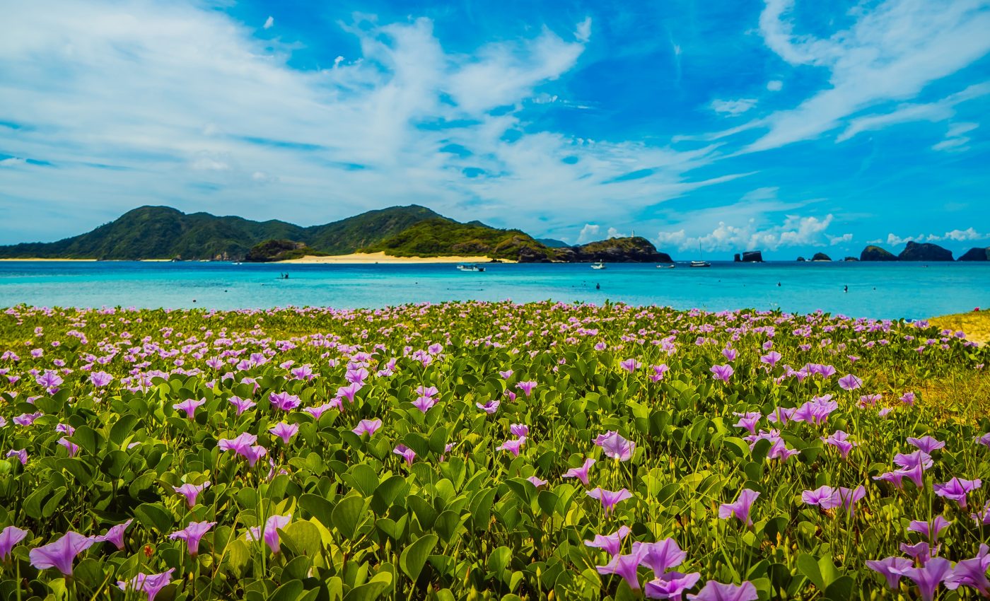 Human migrations to the Ryukyu Islands were led by explorers, not drifters